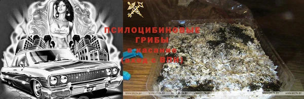 jwh Алзамай