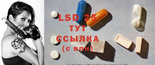 стафф Алексин