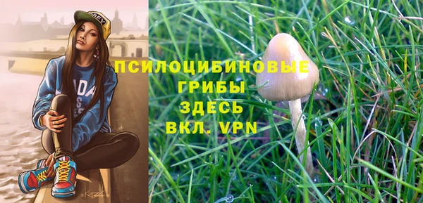 стафф Алексин